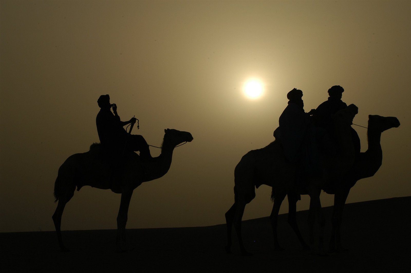 Silhouettes de chameaux au coucher du soleil près de Tombouctou — Stéphane Lhôte