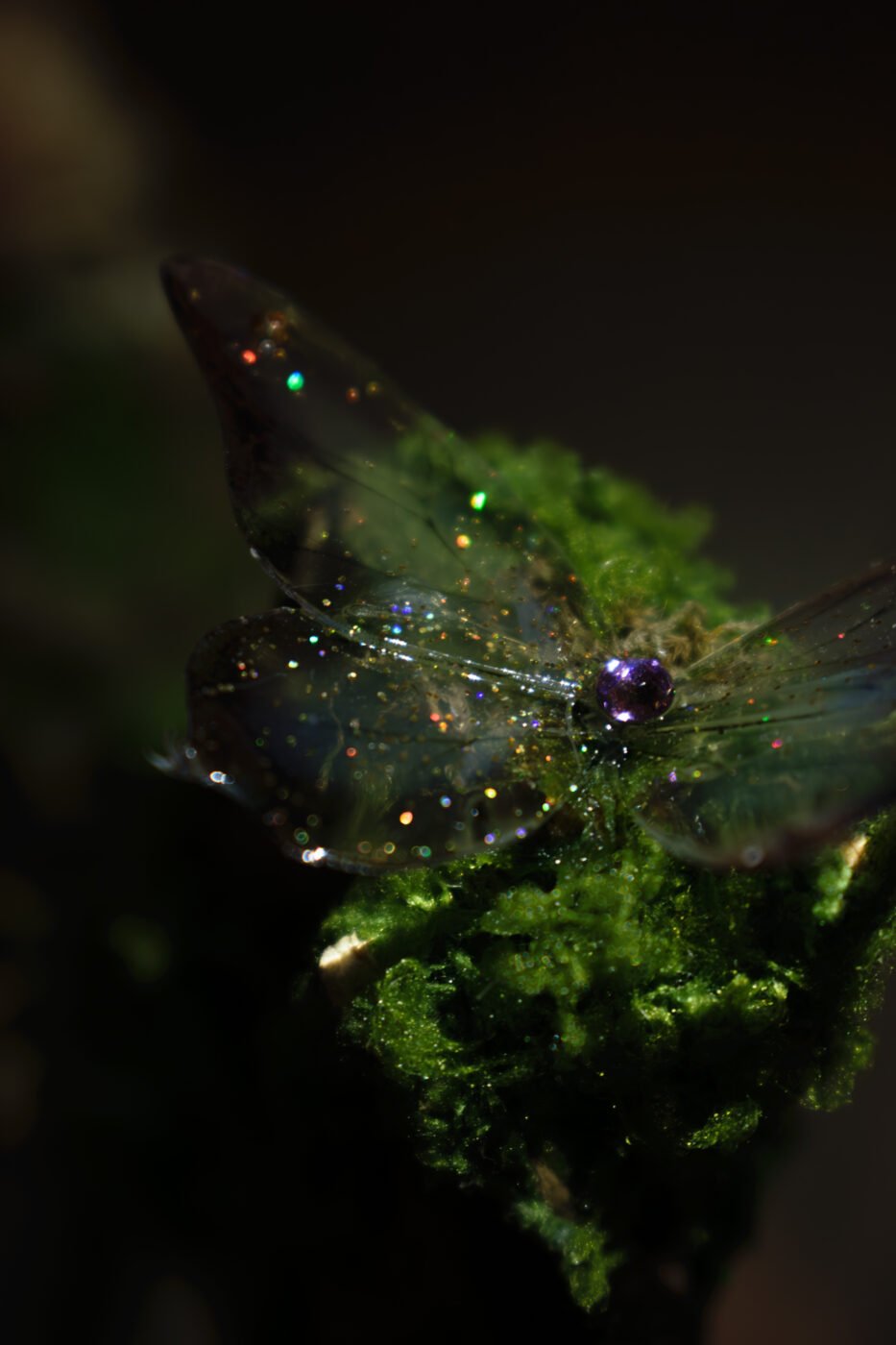 Faerie — Melanie FIEVET
